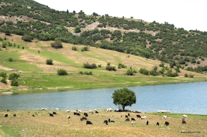 BİLECİK'İN TÜM GÜZELLİKLERİ BU GALERİDE 130