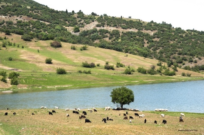 BİLECİK'İN TÜM GÜZELLİKLERİ BU GALERİDE 130