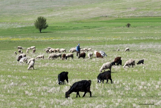 BİLECİK'İN TÜM GÜZELLİKLERİ BU GALERİDE 20