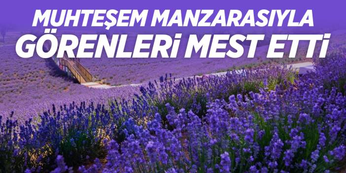 Muhteşem Manzarasıyla Görenleri Mest Etti!