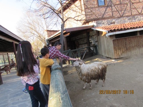 DURSUN FAKIH İMAM HATİP ORTAOKULU'NDAN BURSA ÇIKARMASI 32