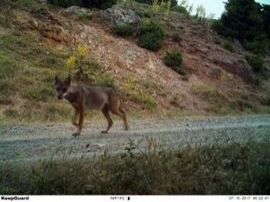 BİLECİK'TEN BELGESEL TADINDA GÖRÜNTÜLER