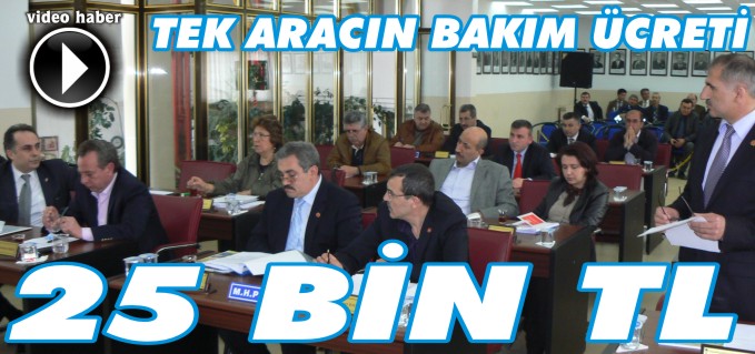 TEK ARACIN BAKIM ÜCRETİ 25 BİN TL