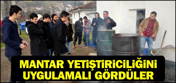 MANTAR YETİŞTİRİCİLİĞİNİ UYGULAMALI GÖRDÜLER