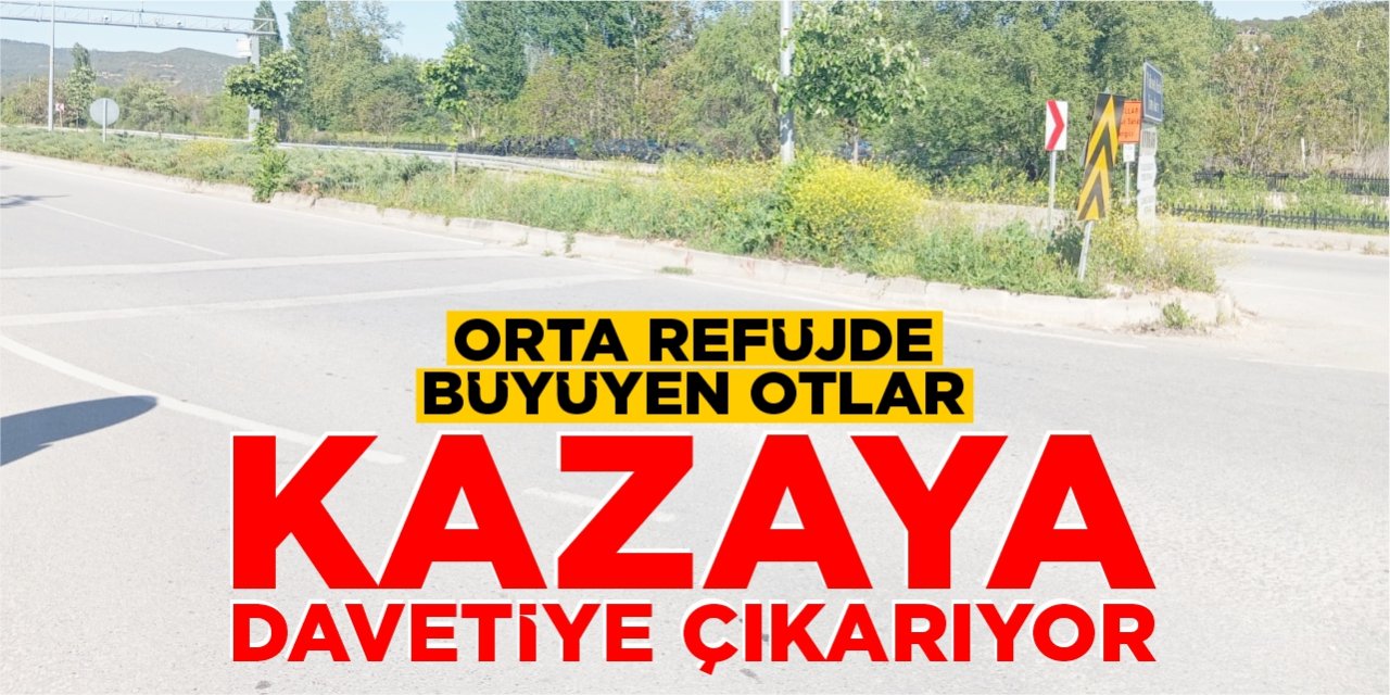 Orta refüjde büyüyen otlar kazaya davetiye çıkarıyor