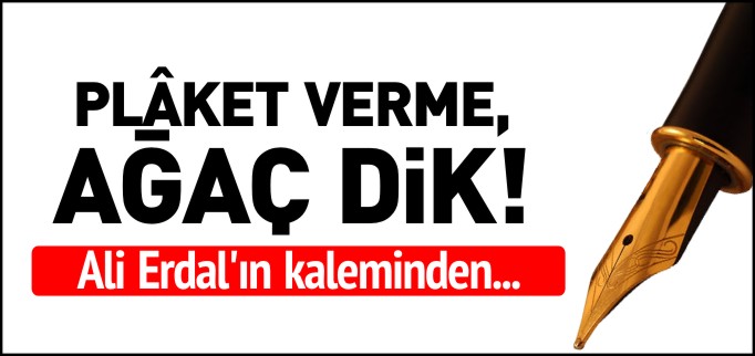 PLAKET VERME, AĞAÇ DİK!