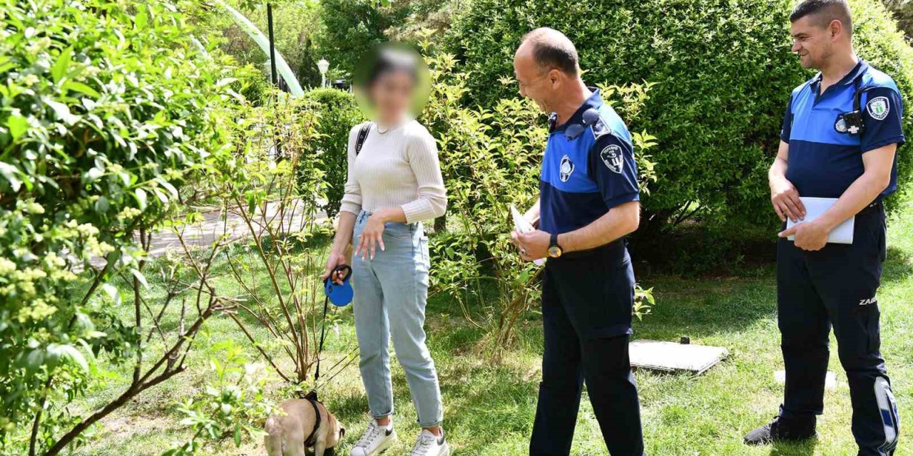 Zabıtadan Çevre Denetimi!