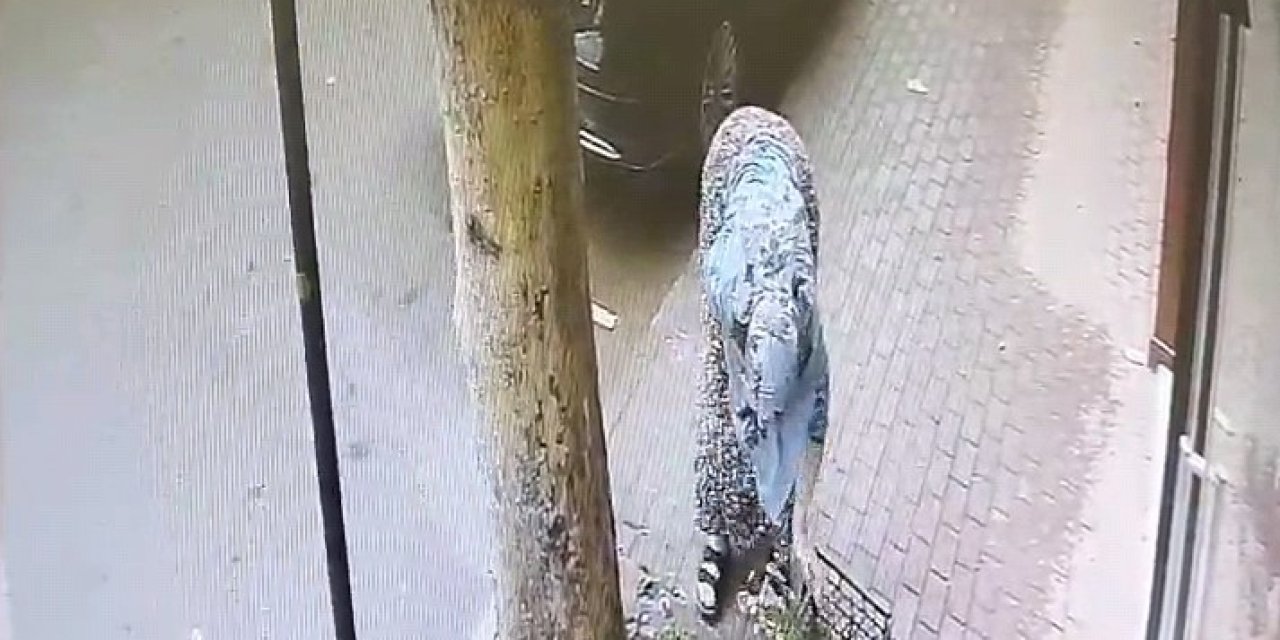 Akıl almaz hırsızlık anı kameralara yansıdı
