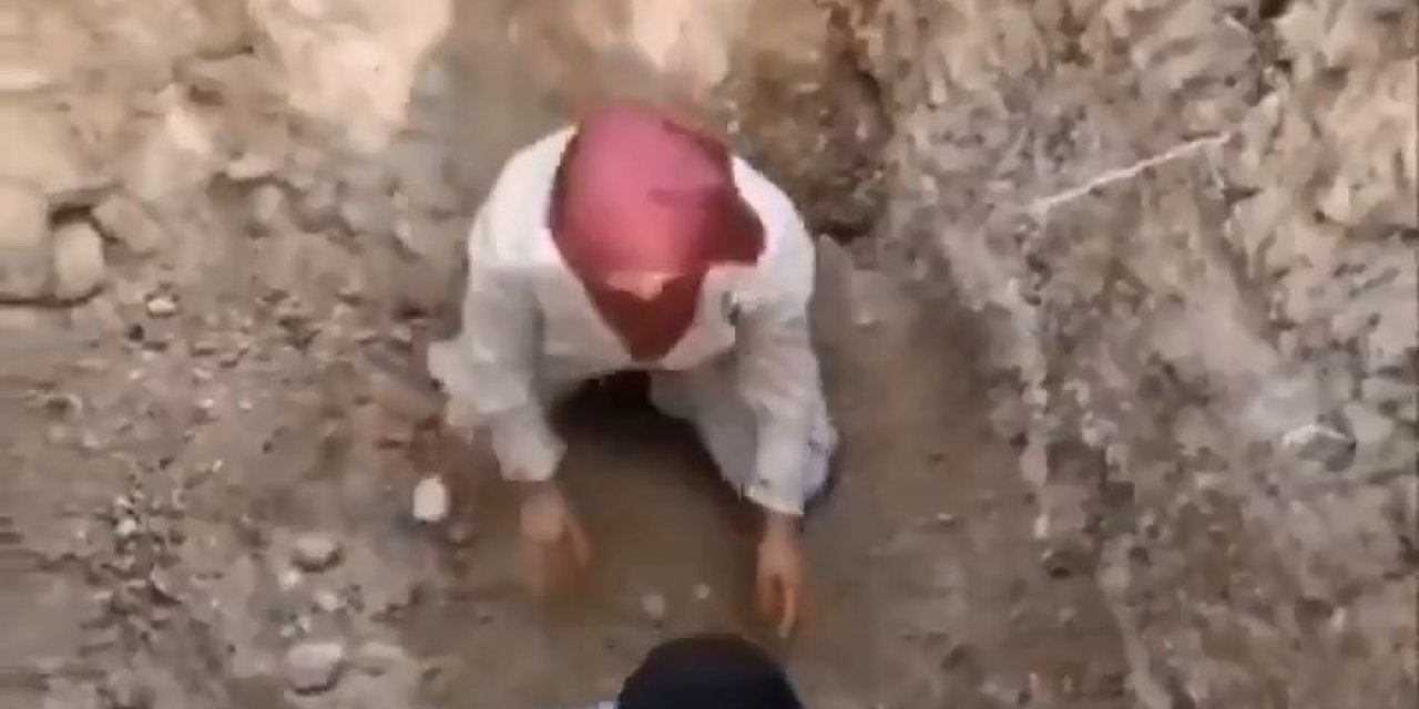 Ölen Köpekleri Mezardan Çıkarmaya Çalıştılar