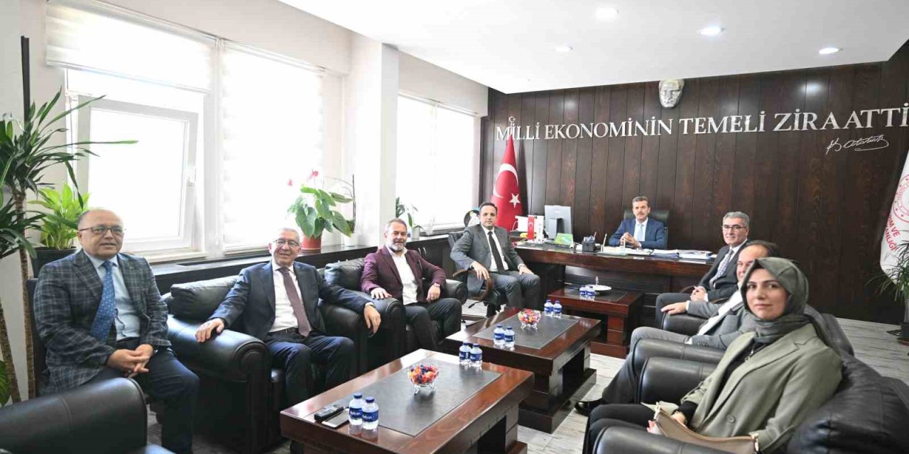 Endüstriyel Yemek Sektörü, Ruhsatsız Üretim Yapan İşletmelerden Rahatsız