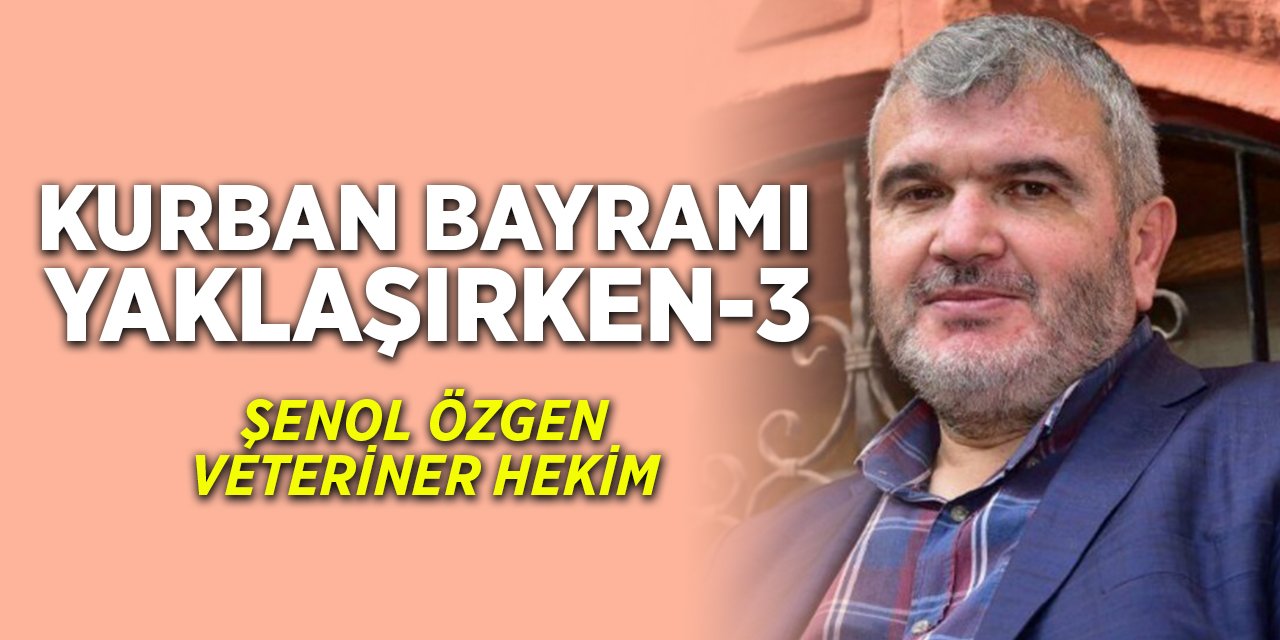 Kurban Bayramı Yaklaşırken-3