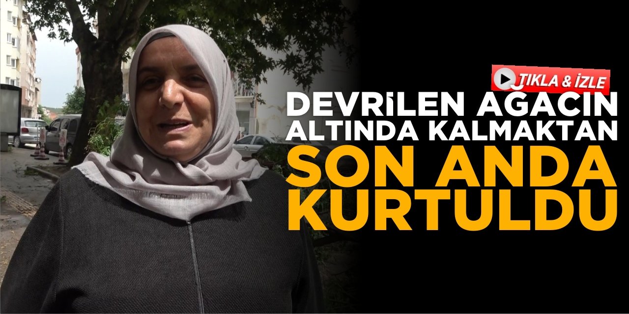 Devrilen Ağacın Altında Kalmaktan Son Anda Kurtuldu