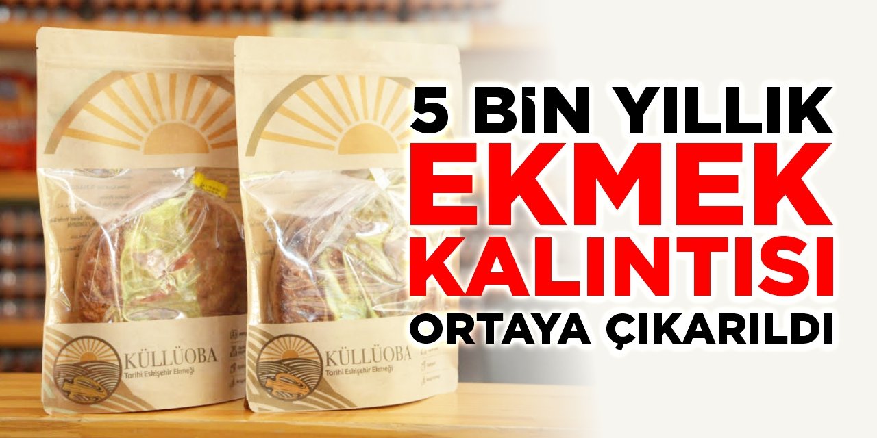 5 bin yıllık ekmek kalıntısı ortaya çıkarıldı