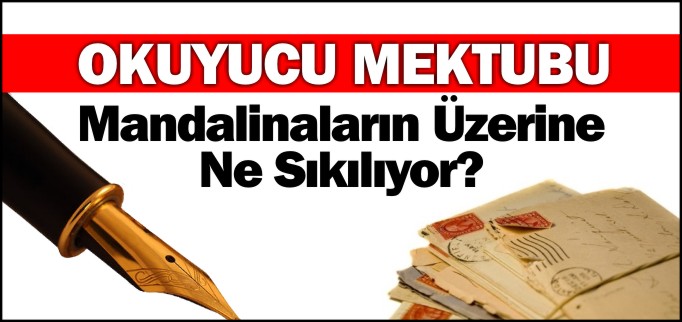 MANDALİNALARIN ÜZERİNE NE SIKILIYOR?