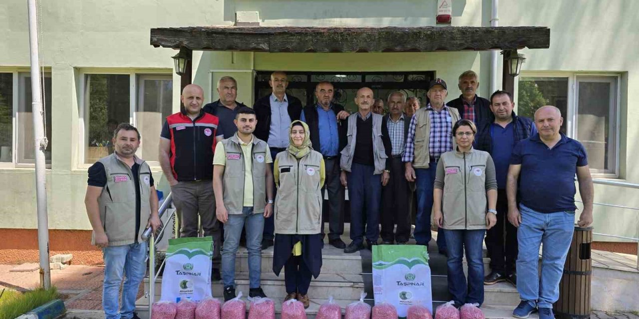Çiftçilere Kuru Fasulye Desteği
