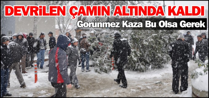 ÇAM DALI DEVRİLDİ 1 YARALI