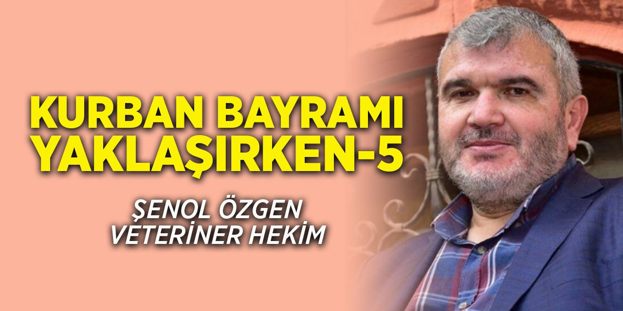 Kurban Bayramı Yaklaşırken-5