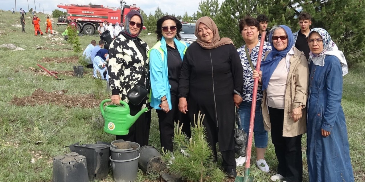 Bin Fidan Toprakla Buluştu, Sanayi İle Doğa El Ele