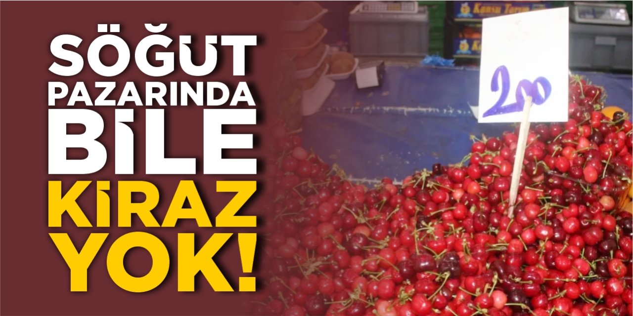 Söğüt pazarında bile kiraz yok!