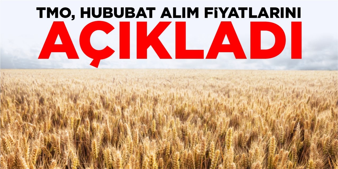 TMO 2025 Yılı Hububat Alım Fiyatlarını Açıkladı