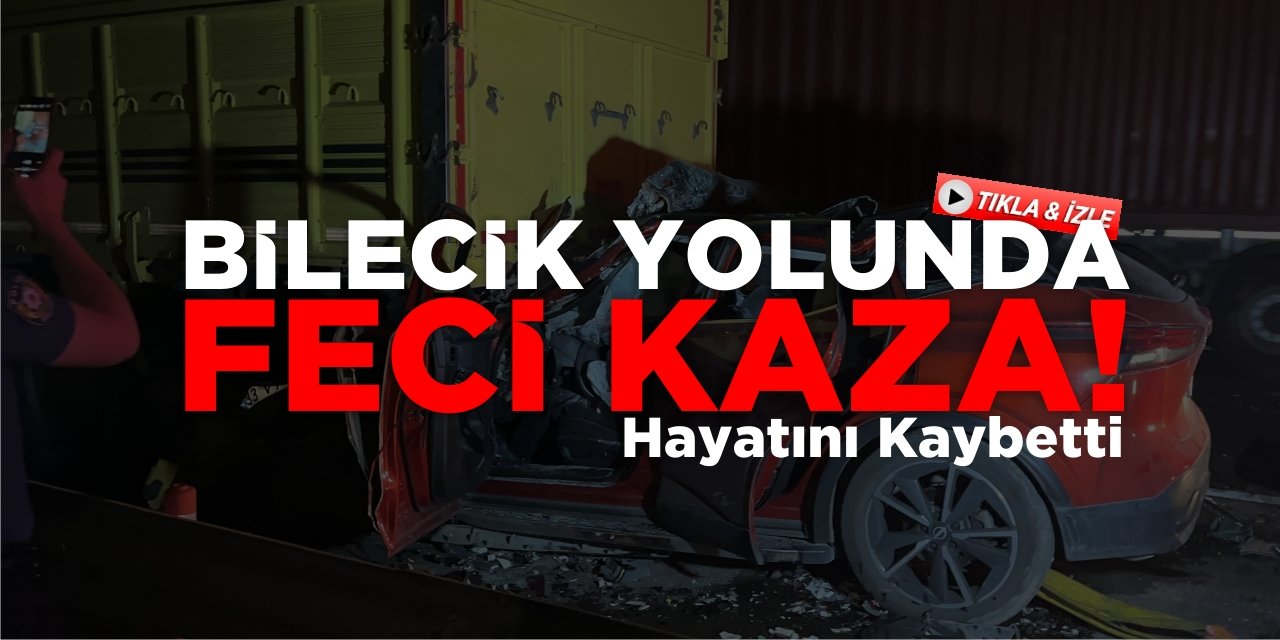 Bilecik yolunda feci kaza! Hayatını Kaybetti