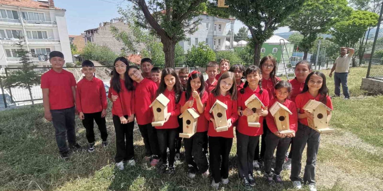 Minik Öğrenciler Ağaçlara Kuş Yuvası Astı