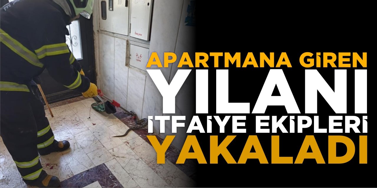 Apartmana giren yılanı itfaiye ekipleri yakaladı