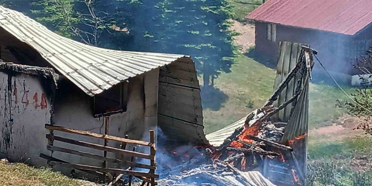 Yayla Evi Alev Alev Yandı