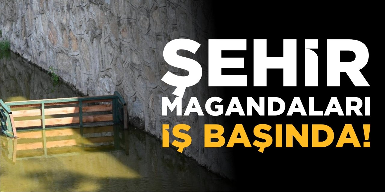 Şehir Magandaları İş Başında!