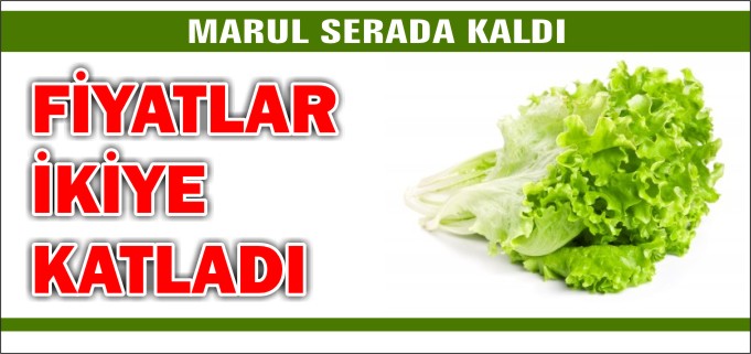 MARUL FİYATLARI İKİYE KATLADI