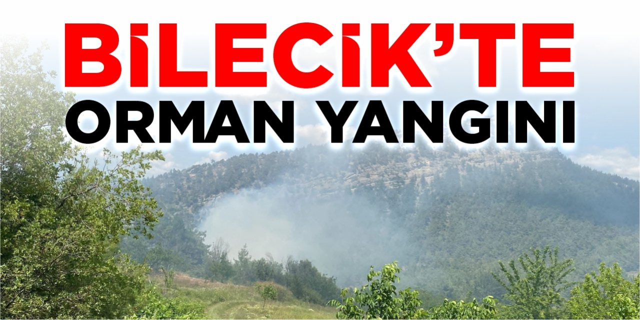 Bilecik’te orman yangını