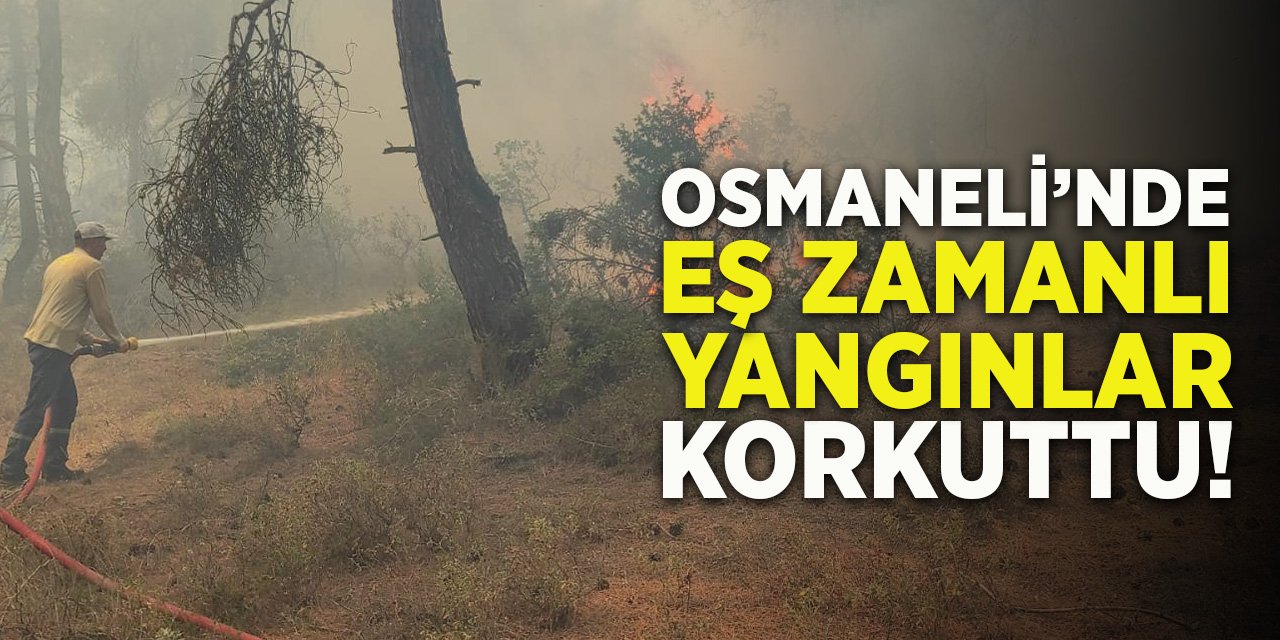 Osmaneli’nde eş zamanlı yangınlar korkuttu!