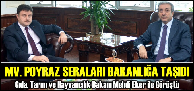 POYRAZ SERALARI BAKANLIĞA TAŞIDI