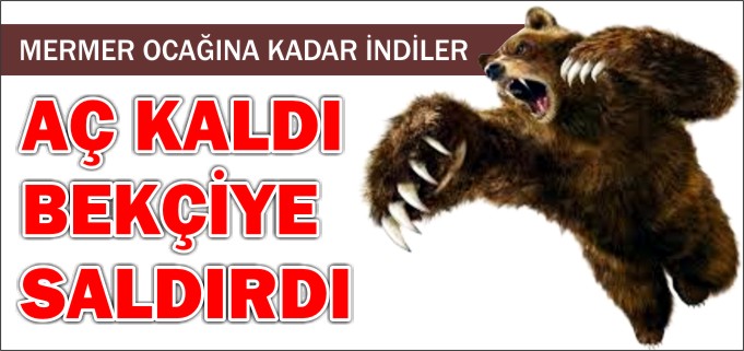 MERMER OCAĞINA KADAR İNDİLER