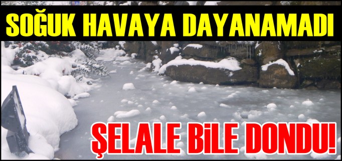 SOĞUK HAVA YAPAY ŞELALEYİ DONDURDU