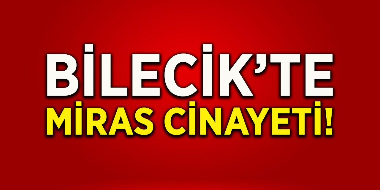 Bilecik’te Miras Cinayeti