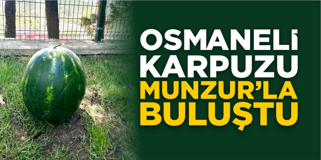 Osmaneli karpuzu Munzur’la buluştu