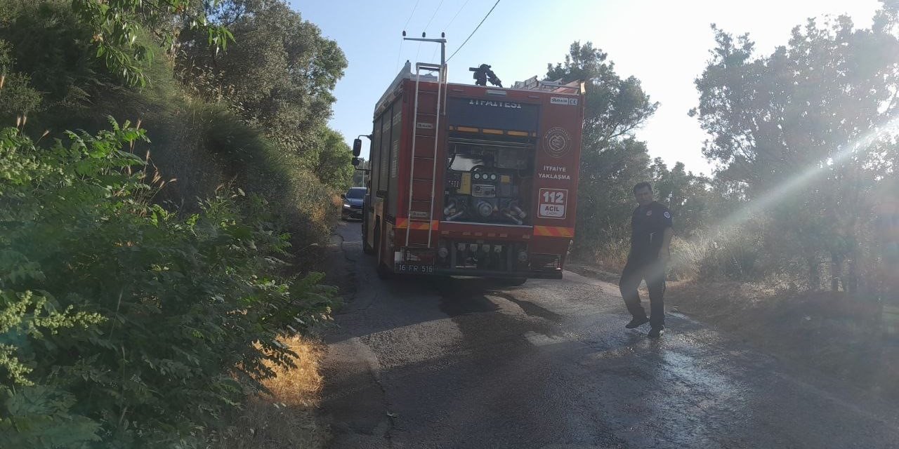 Elektrik Tellerine Temas Eden Karga Yangına Neden Oldu
