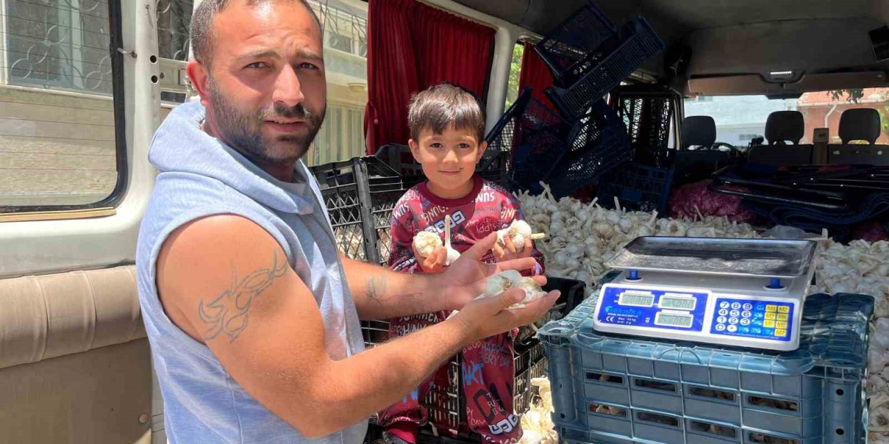 Ekmek Parasını Kazanmak İçin Binlerce Kilometre Yol Gezdiler