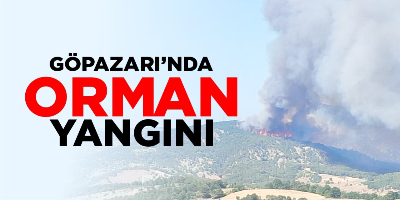Gölpazarı'nda orman yangını