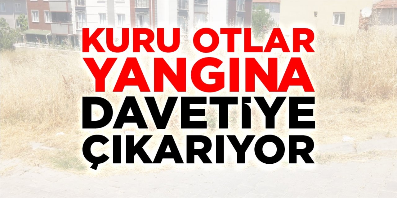 Kuru otlar yangına davetiye çıkarıyor