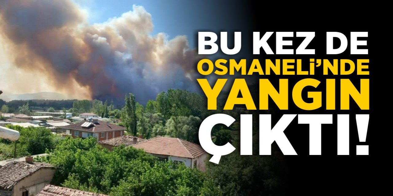 Bu kez de Osmaneli'nde yangın!