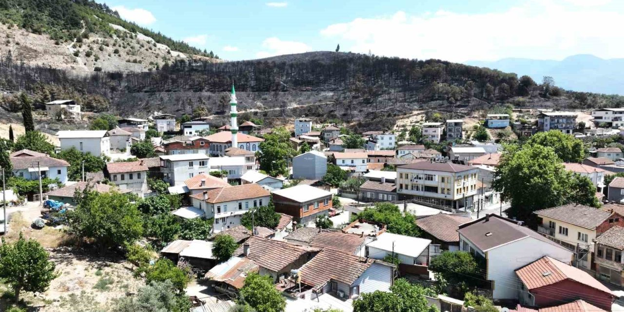 Orman Manzaraları Kömürlüğe Döndü