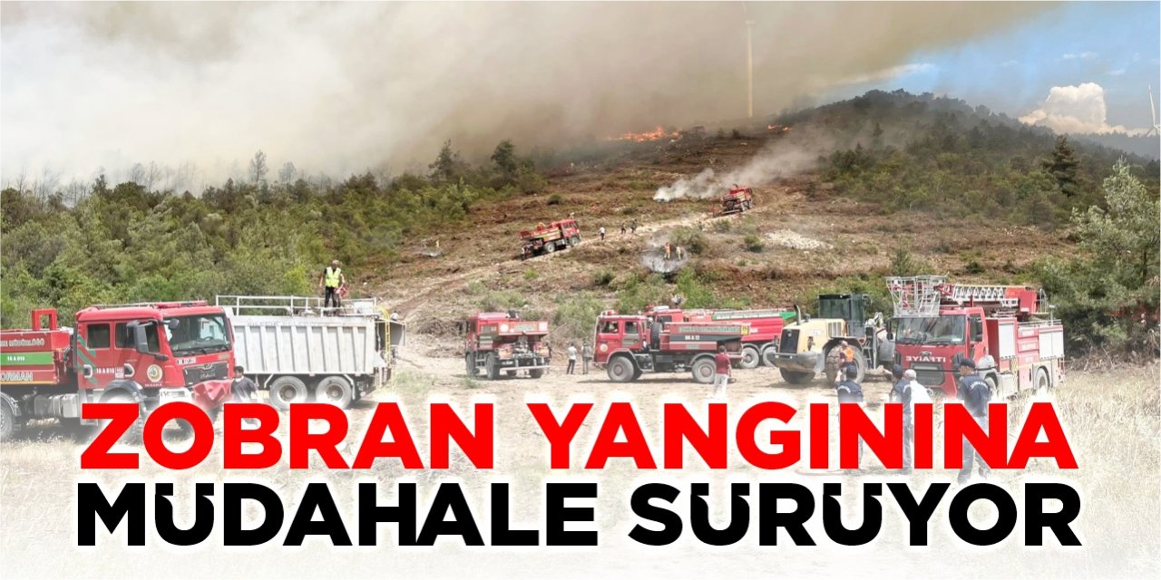 Zobran yangınına müdahale sürüyor