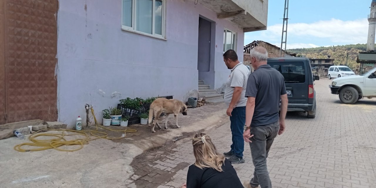 Yangından etkilenen hayvanlar unutulmadı