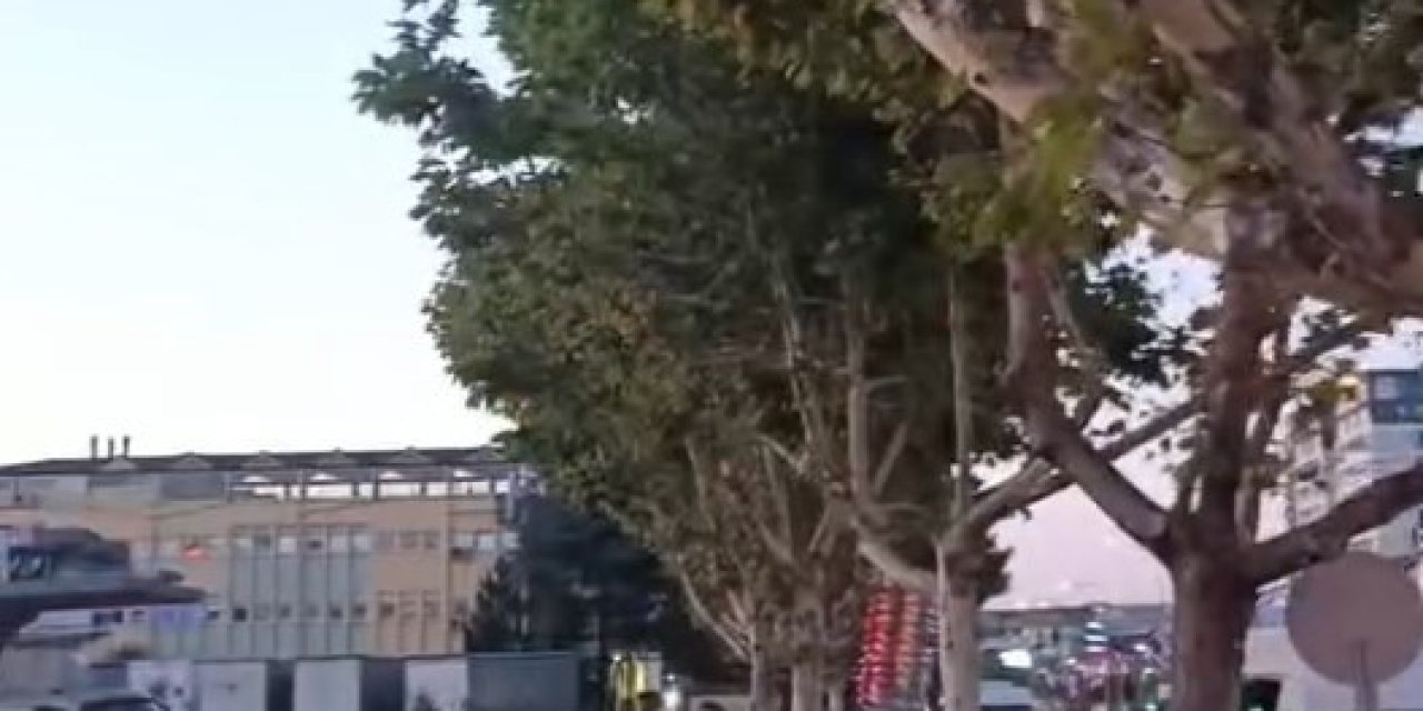 Kültür Yolu Çile Dolu