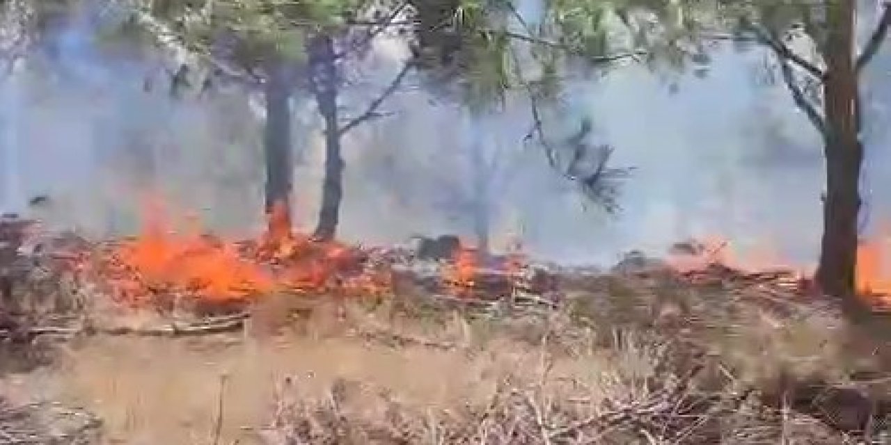 Ağaçlık Alanda Çıkan Yangına Müdahale Ediliyor