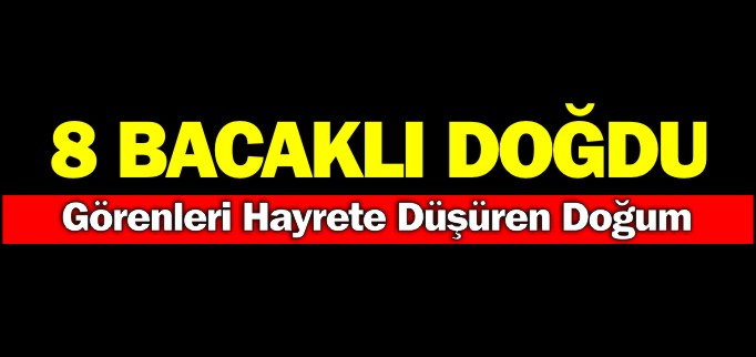 8 BACAKLI DOĞDU