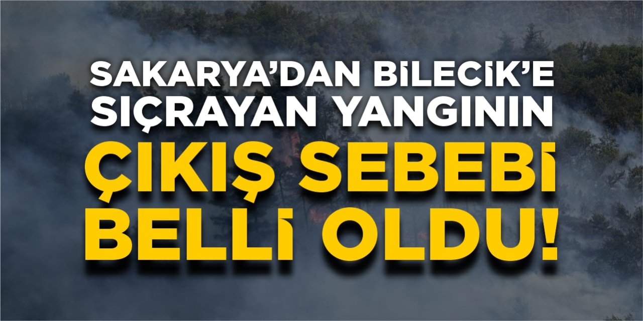 Sakarya’dan Bilecik’e sıçrayan yangının çıkış sebebi belli oldu