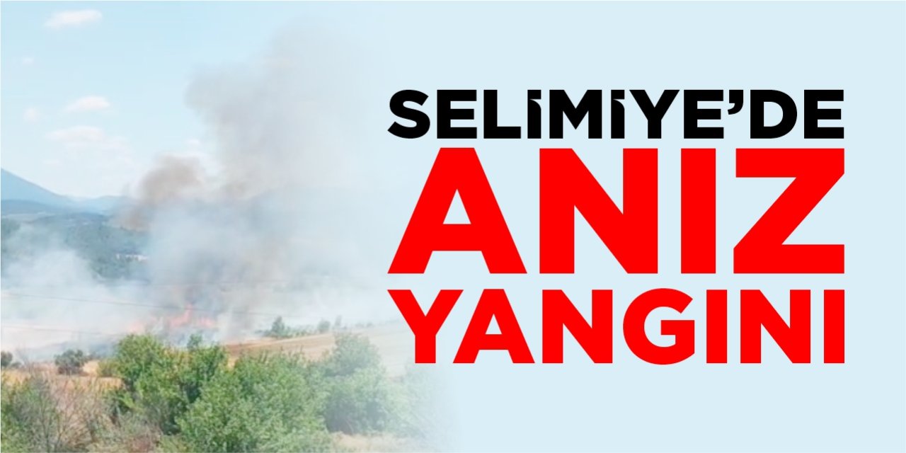 Selimiye’de anız yangını